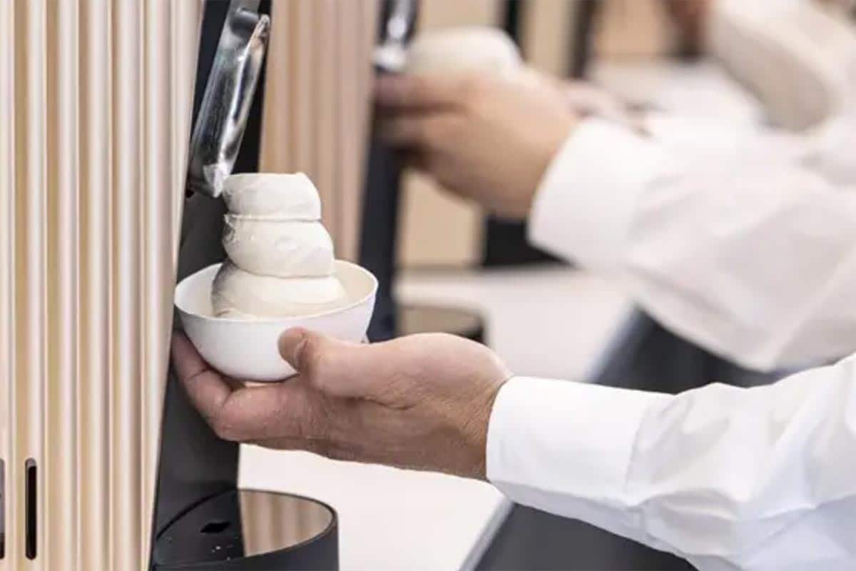 10 Best Ice Cream Machines for 2023 - The Jerusalem Post