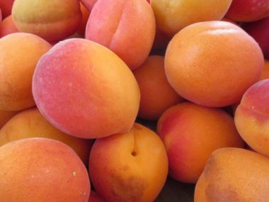 https://pixabay.com/photos/apricots-fruit-apricot-tree-2382872/